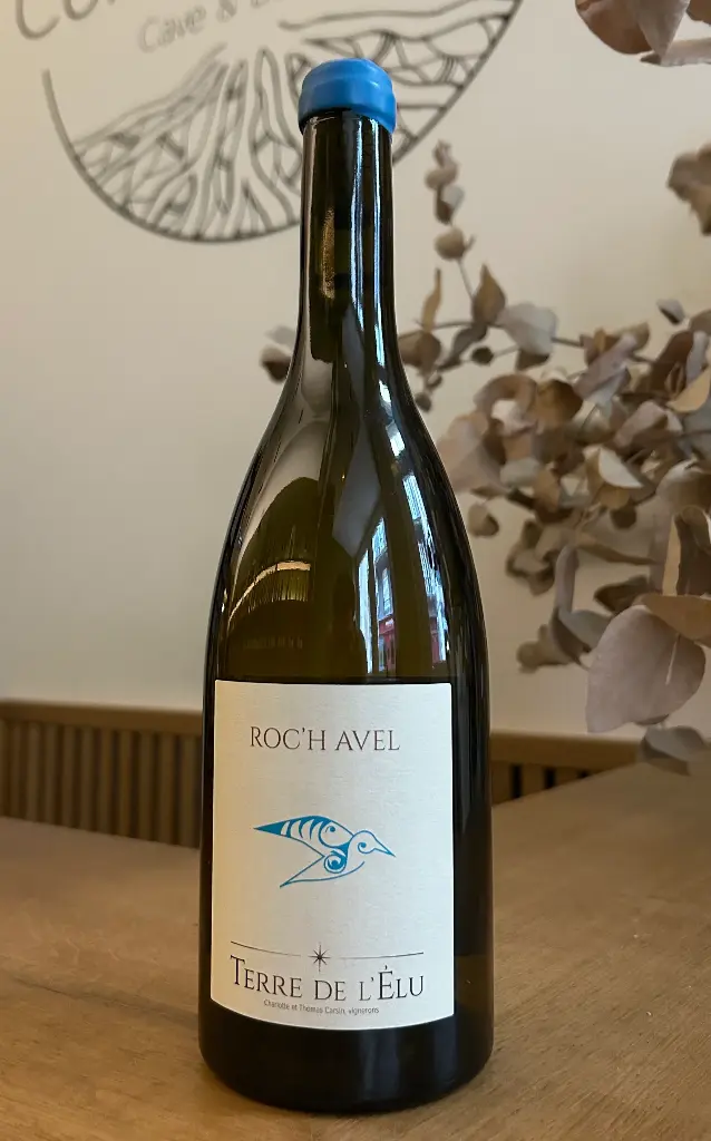 Terre de L’Elu - Roc’h Avel - 2025