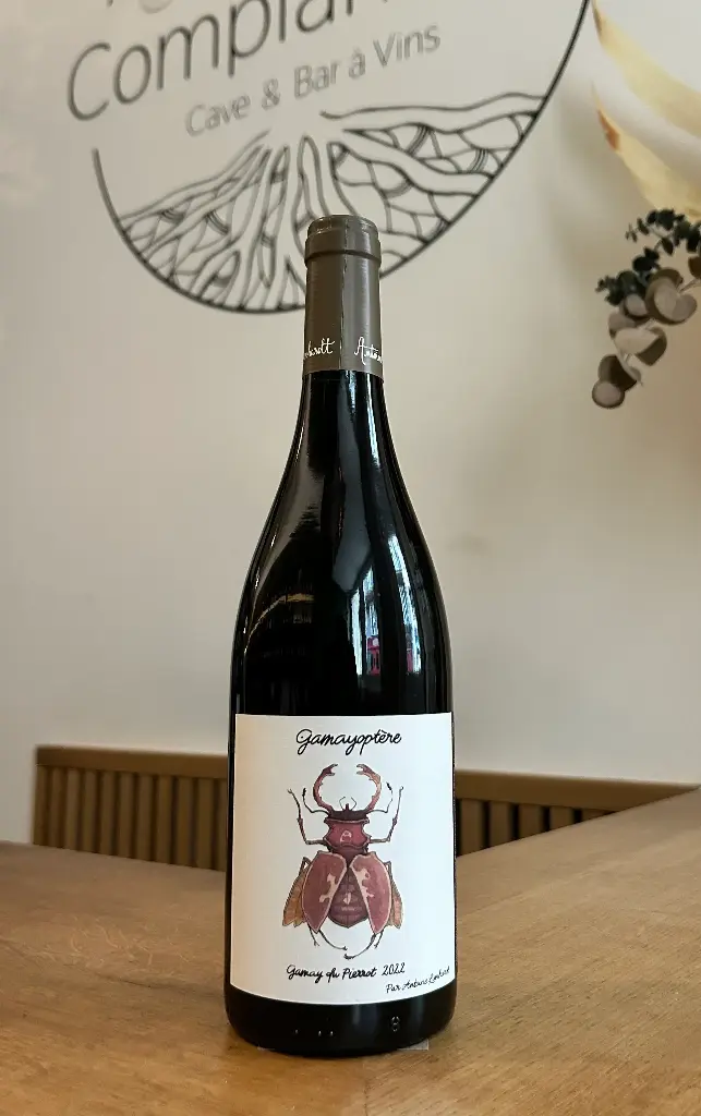 Domaine Antoine Lienhardt - Coteaux Bourgignons - Gamayoptère - 2022