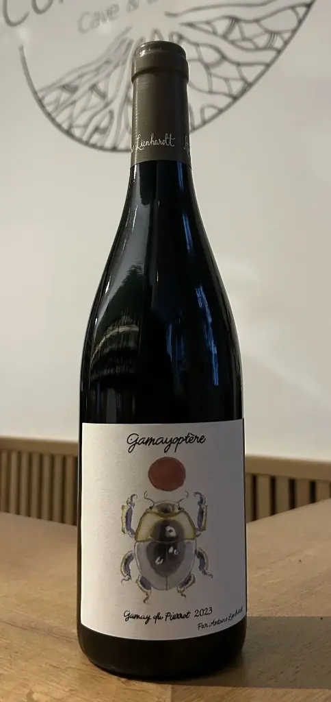 Domaine Antoine Lienhardt - Coteaux Bourgignons - Gamayoptère - 2023