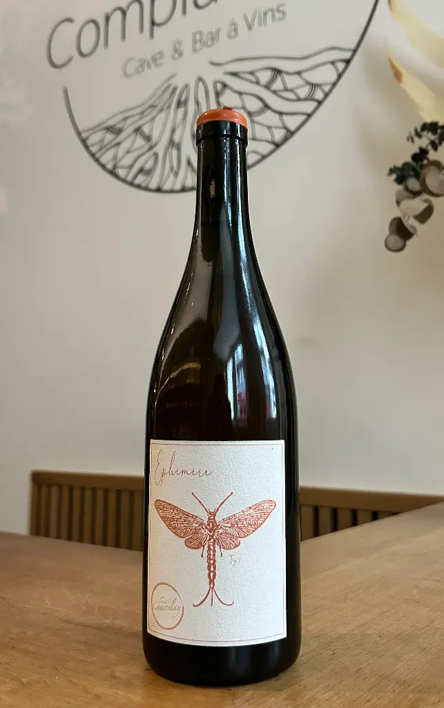 Famille Chasselay - Ephémère Fig 2 - 2021