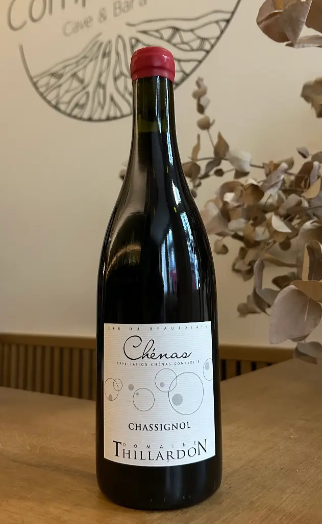 Domaine Thillardon - Chénas - Chassignol - 2021