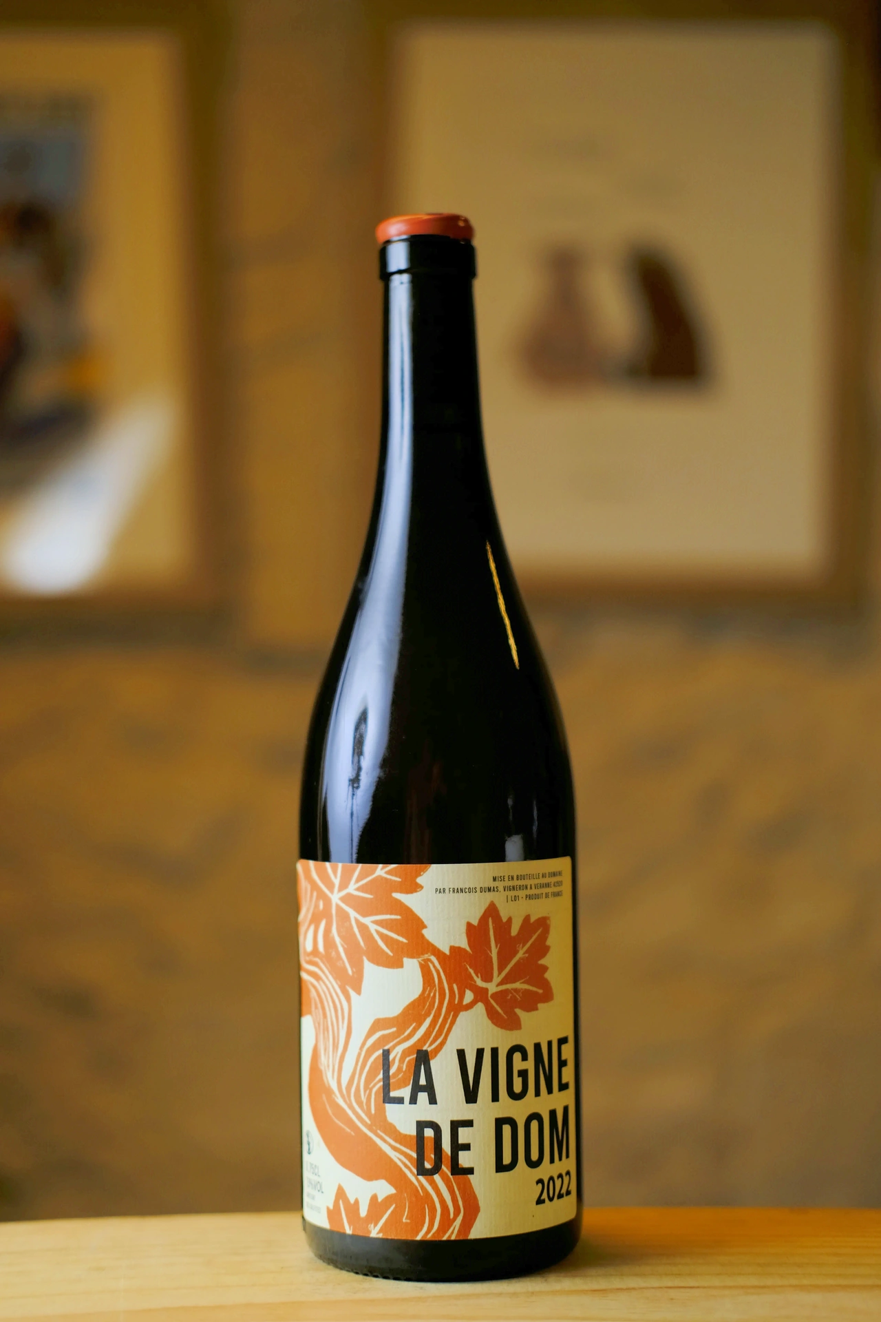 Domaine François Dumas - Vin de France - Vigne de Dom