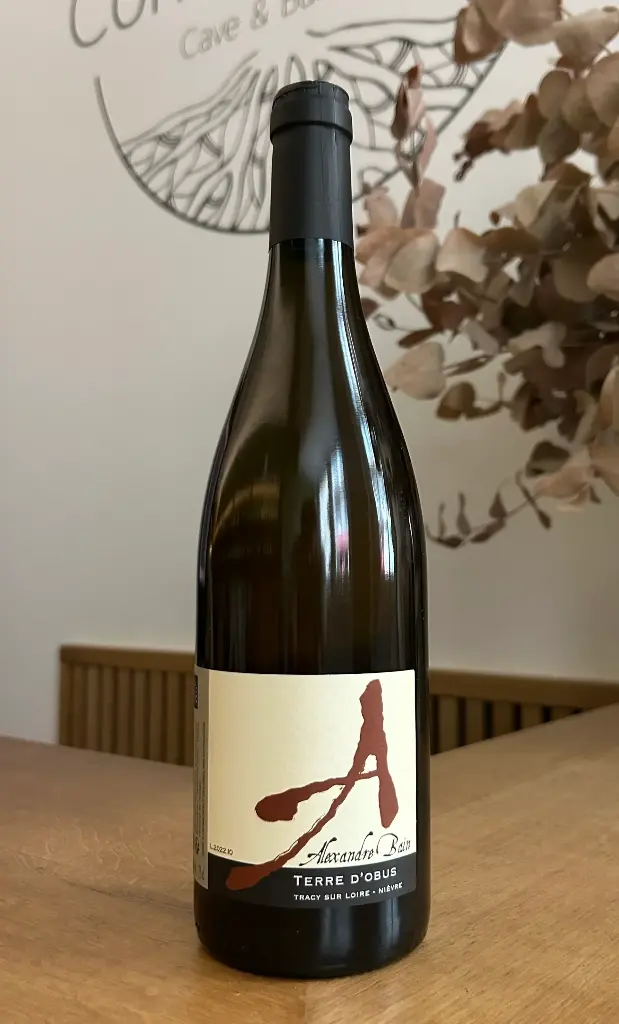 Alexandre Bain - VDF - Pouilly Fumé - Terre d'Obus - 2022