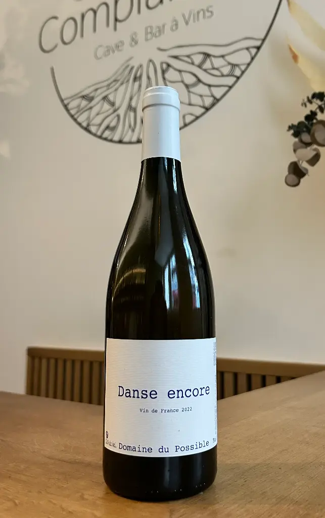 Domaine du Possible - Danse encore - 2022
