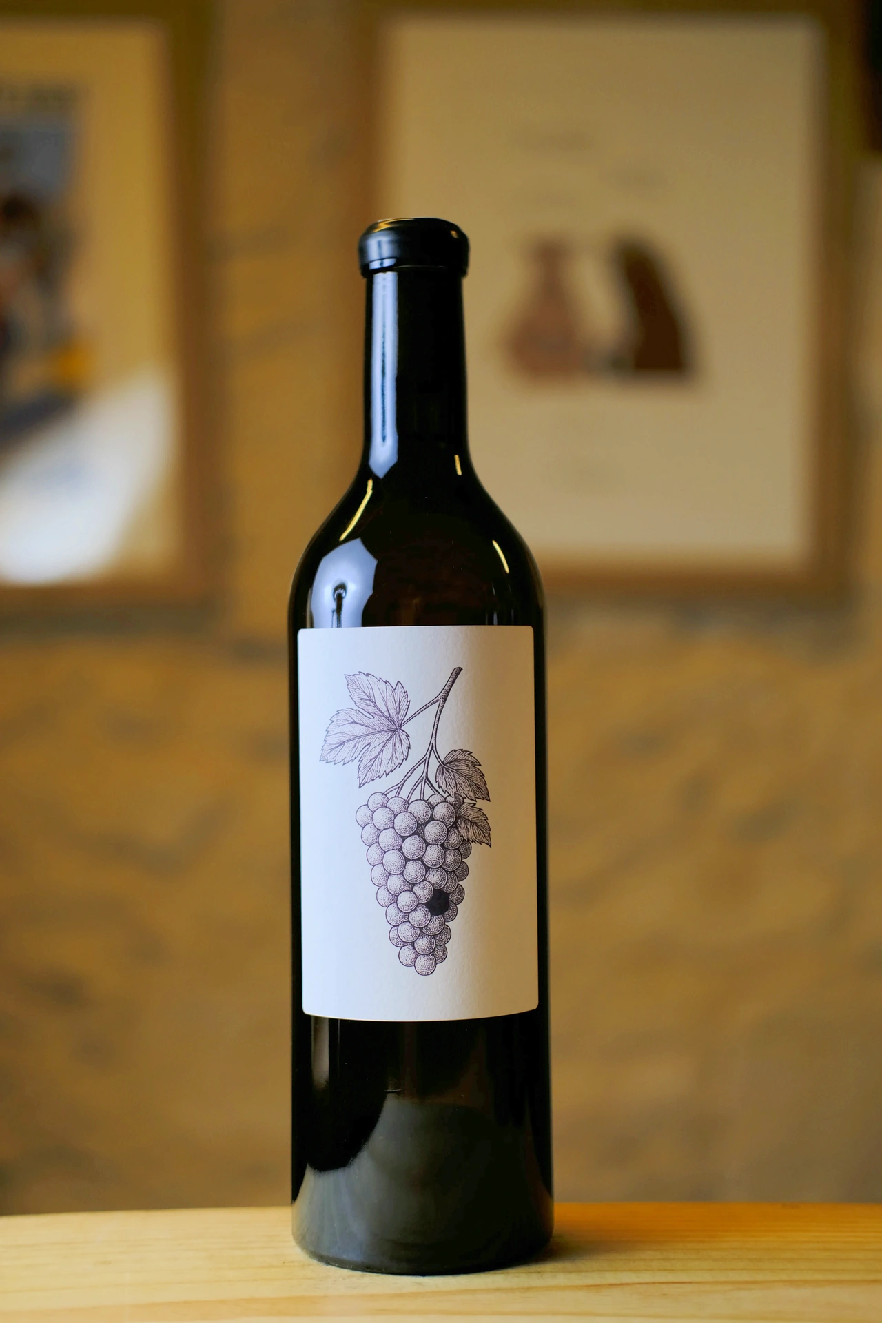 Franck Terral X Romain Videau - Blanc de Merlot- 2024