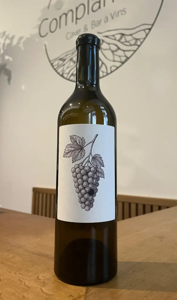 Franck Terral X Romain Videau - Blanc de Merlot- 2024