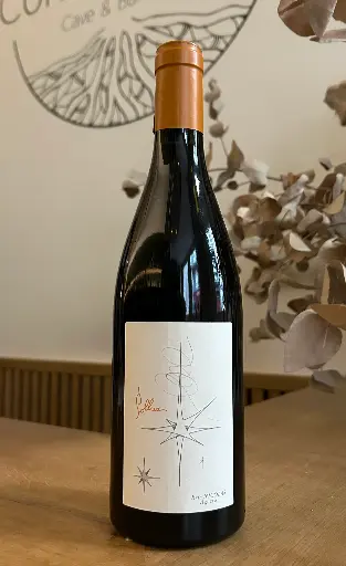 Les Arches de Bellivière - Pollux - 2021