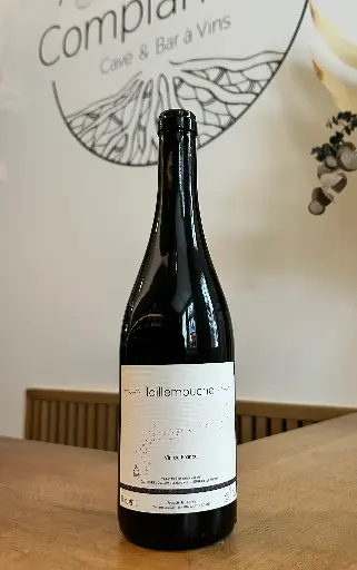 Julien Delrieu - Taillemouche - 2024