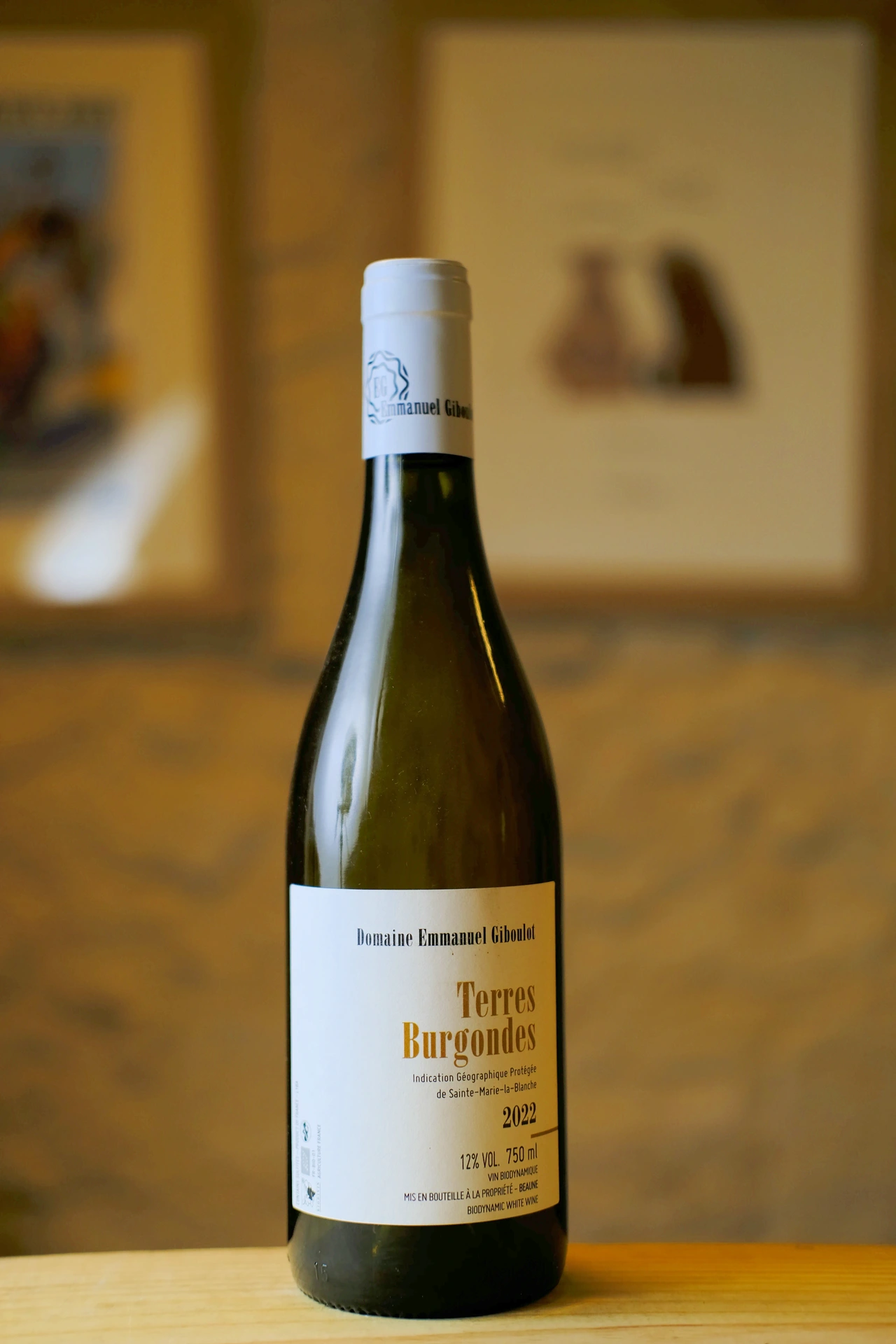Emmanuel Giboulot - IGP Sainte-Marie-La-Blanche - Terres Burgondes - Blanc