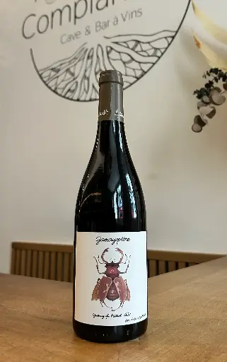 Domaine Antoine Lienhardt - Coteaux Bourgignons - Gamayoptère - 2023