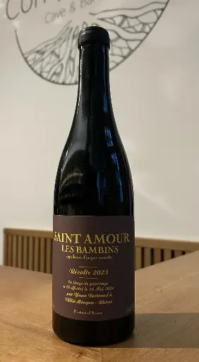 Domaine Les Bertrand - Saint Amour - Les Bambins - 2023