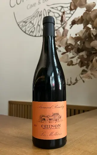 Bernard Baudry - Chinon - Les Molières - 2021