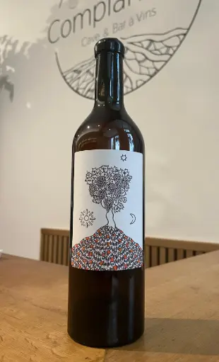 Franck Terral X Romain Videau - Amphore Orange - 2023 