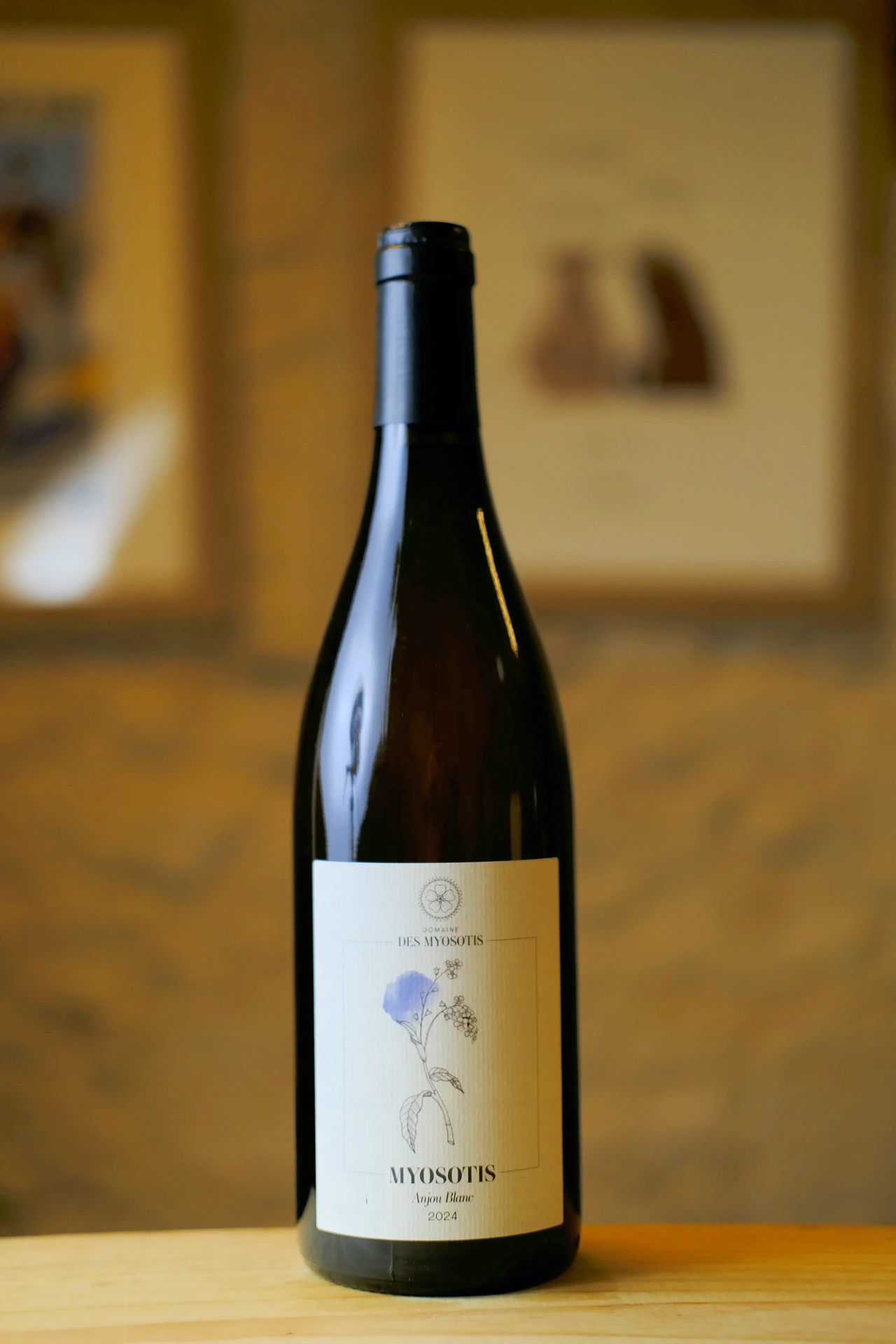 Domaine des Myosotis - Myosotis - 2024