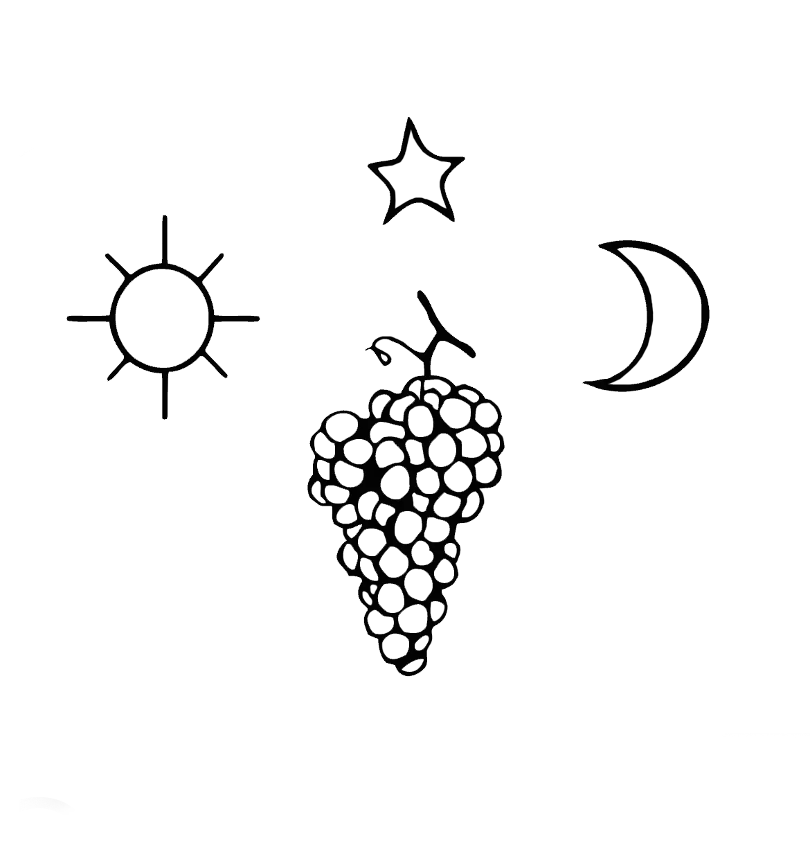 Complanterra